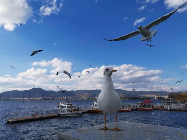 星迈网 外省球迷正涌入苏超赛场，搭乘航班看苏超怎么选
