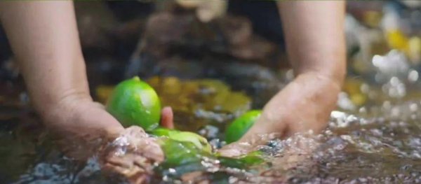 大通证券 今年涨价最猛的水果，快吃不起了